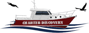 charterdiscovery 1