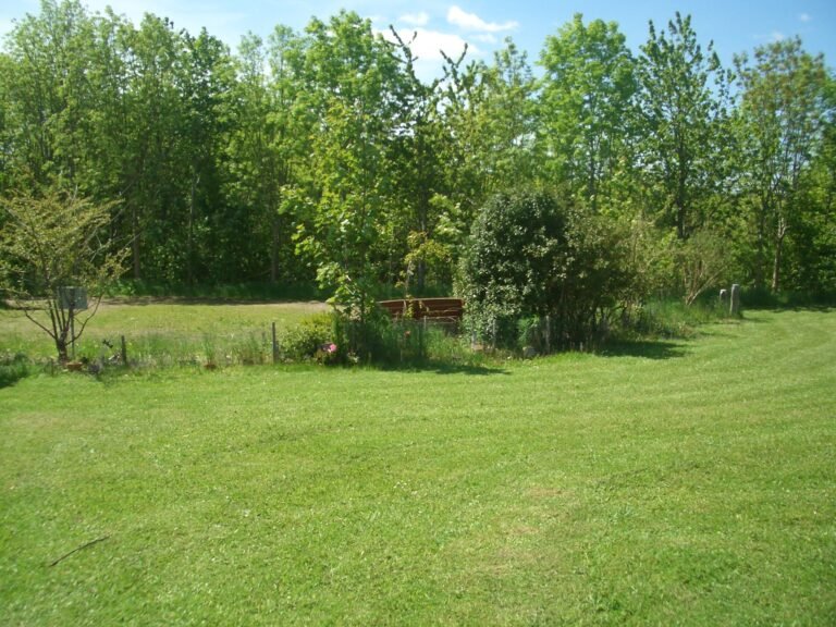 Breach Farm Woodland Burial Ground 768x576