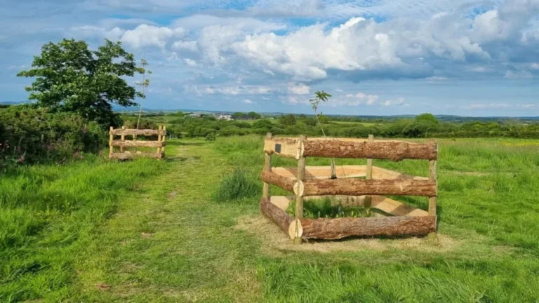 Pemb Rec13 1920x1080 1 1536x864 1 768x432