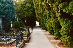 Can You Bury Ashes in a Family Grave? UK Rules & Costs