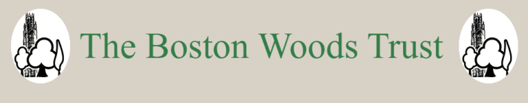 Beech Wood Green Burial 768x151