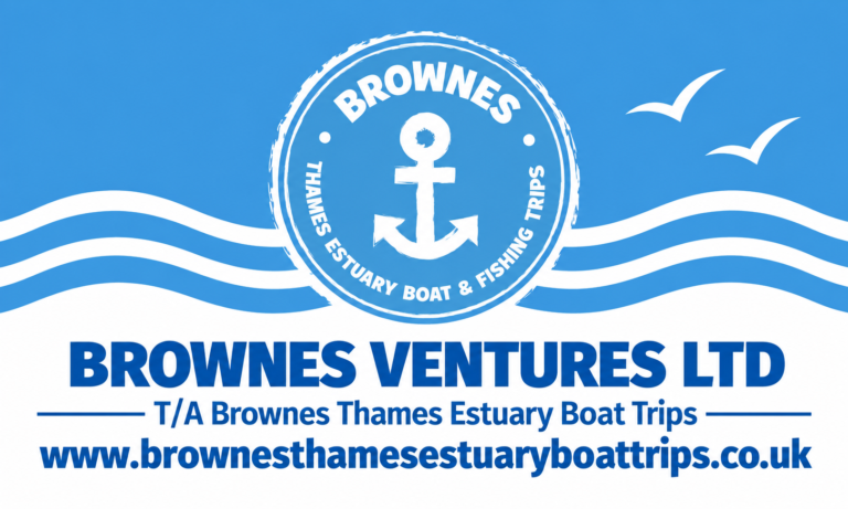 Brownes Ventures Ltd Flag Design 1 768x461