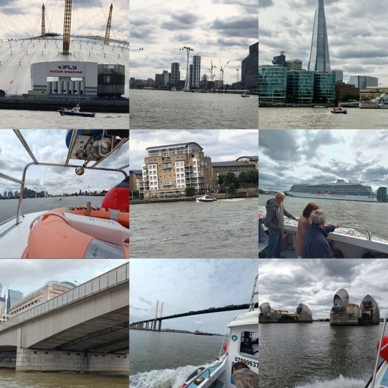 IMG 20230901 173318 768x768