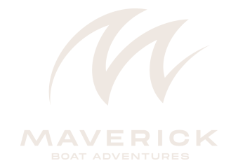 Maverick Boat Adventures 1