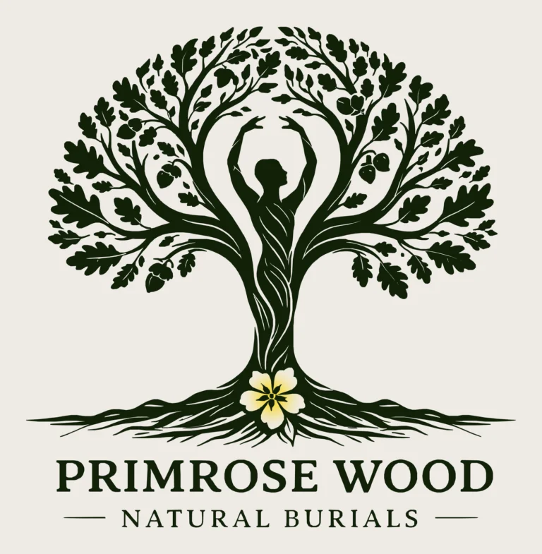 PRIMROSE wood 768x785