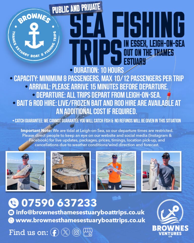 Sea Fishing Trips Image 768x960